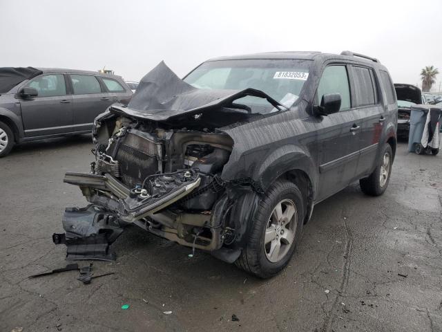 HONDA PILOT 2009 5fnyf38559b018074