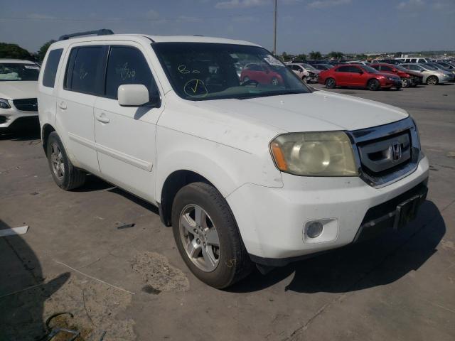 HONDA PILOT EXL 2009 5fnyf38579b014527