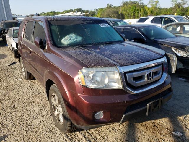 HONDA PILOT EXL 2009 5fnyf38589b011555