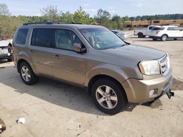 HONDA PILOT EXL 2009 5fnyf38599b021883