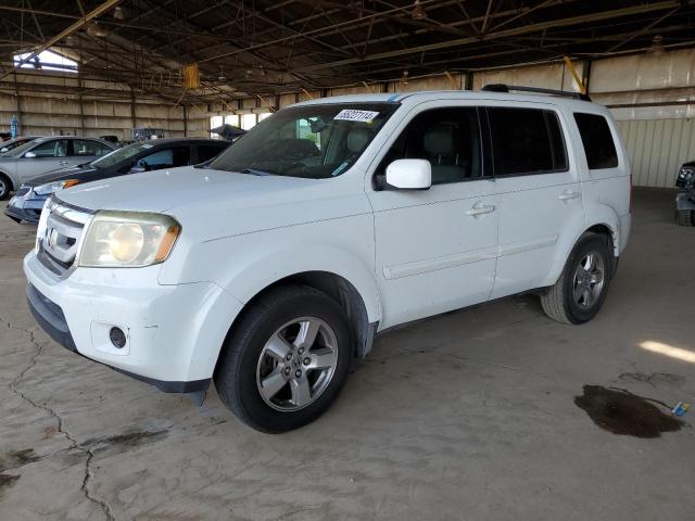 HONDA PILOT 2009 5fnyf38619b010577