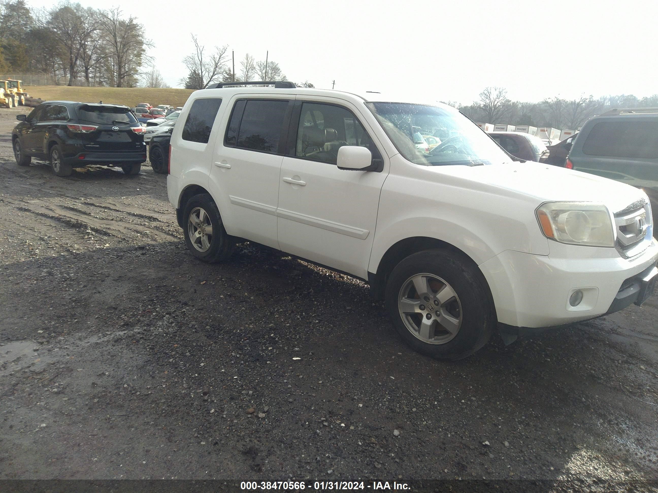 HONDA PILOT 2009 5fnyf38629b026108