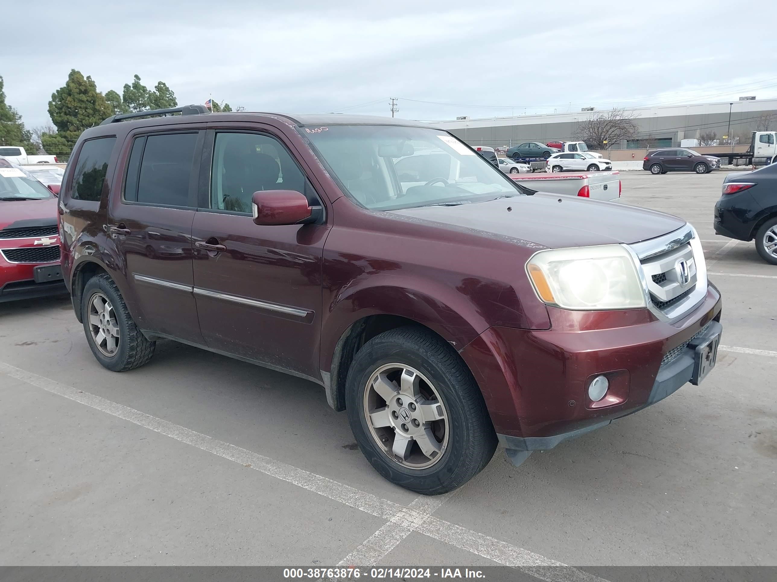 HONDA PILOT 2009 5fnyf38919b027230