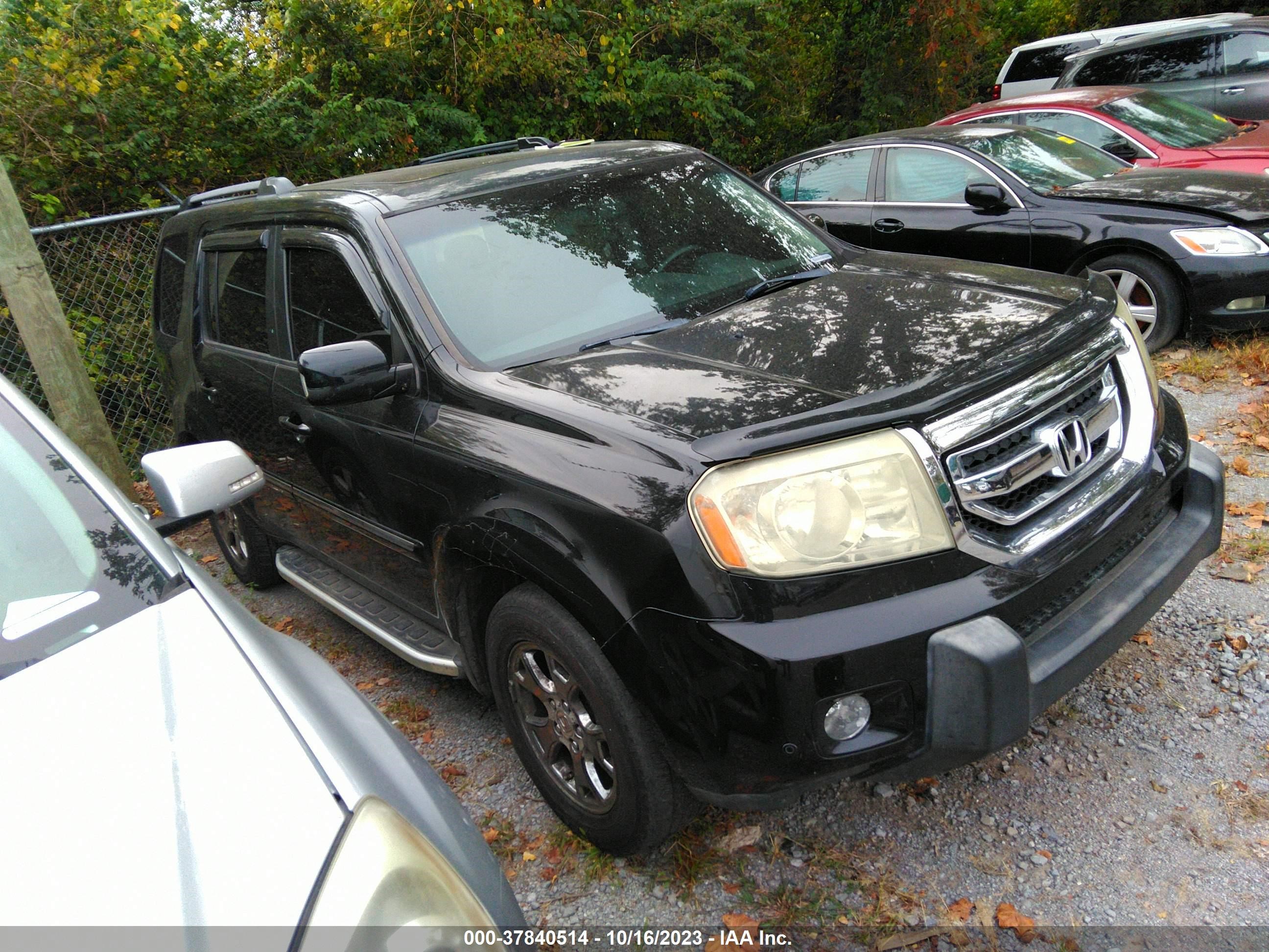 HONDA PILOT 2009 5fnyf38929b003468