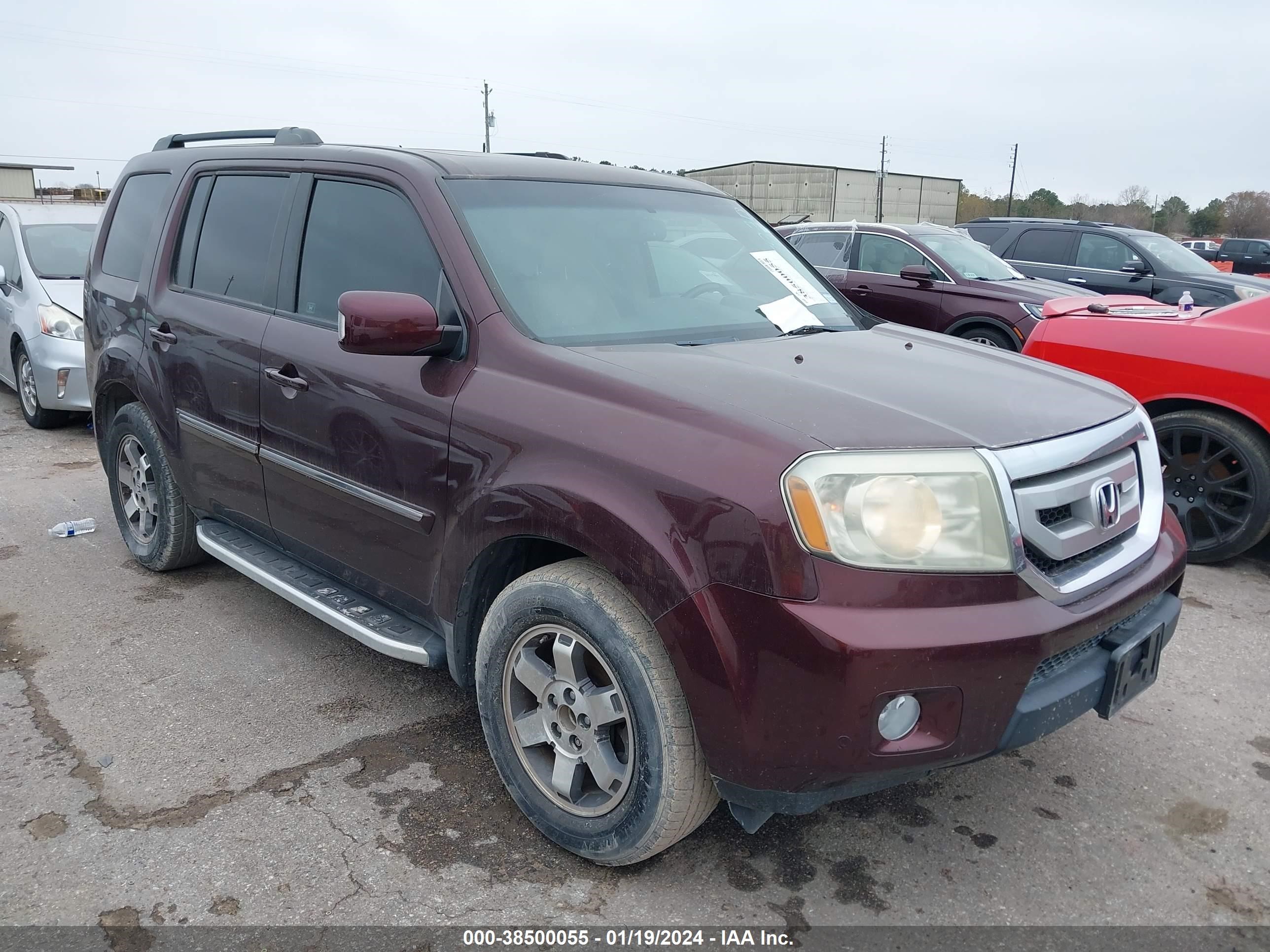 HONDA PILOT 2009 5fnyf38949b027870