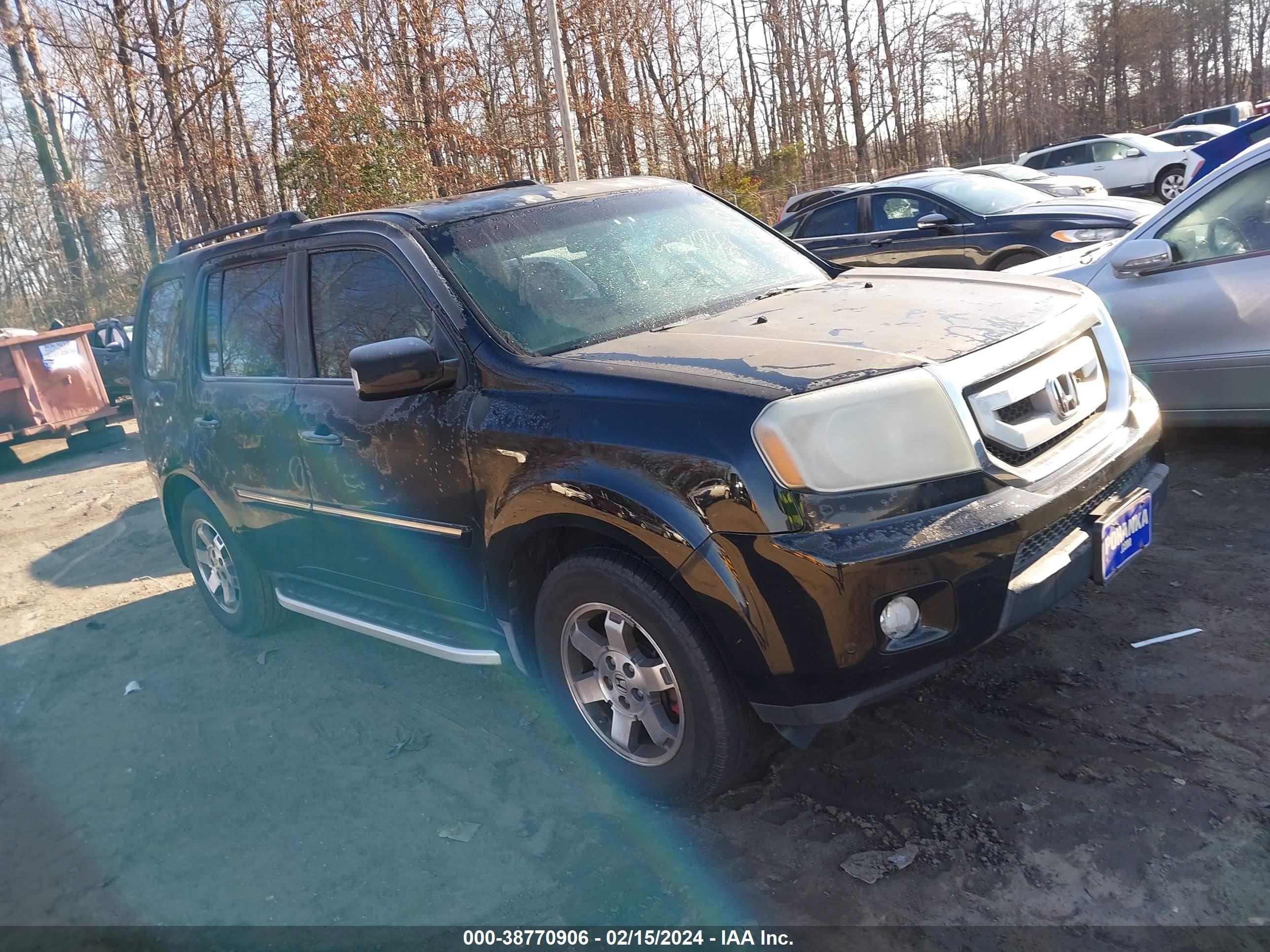 HONDA PILOT 2009 5fnyf38959b026002