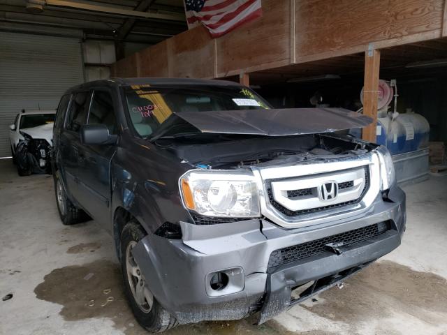 HONDA PILOT LX 2011 5fnyf3h26bb010397