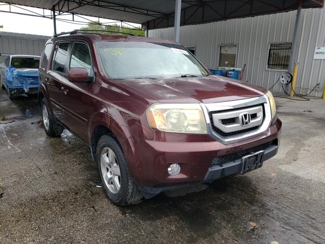 HONDA PILOT EX 2011 5fnyf3h40bb021963