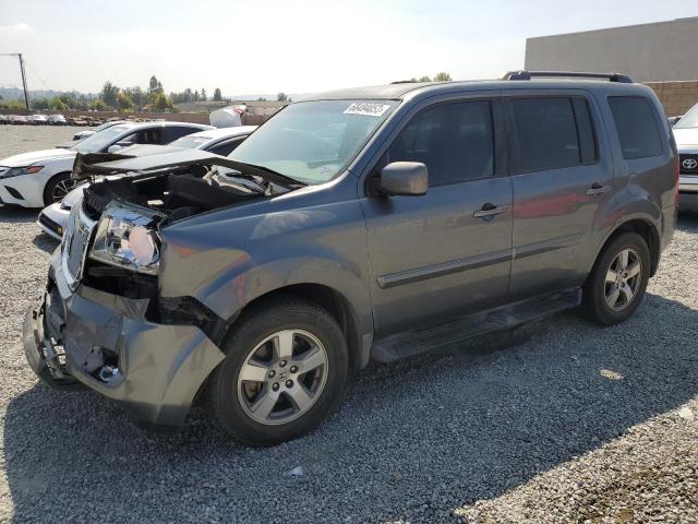 HONDA PILOT EX 2010 5fnyf3h41ab009870