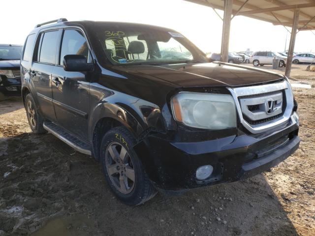 HONDA PILOT EX 2010 5fnyf3h41ab021548