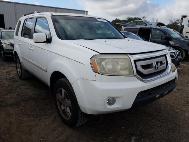 HONDA PILOT EX 2011 5fnyf3h41bb033734