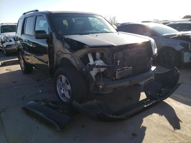 HONDA PILOT EX 2011 5fnyf3h41bb043888