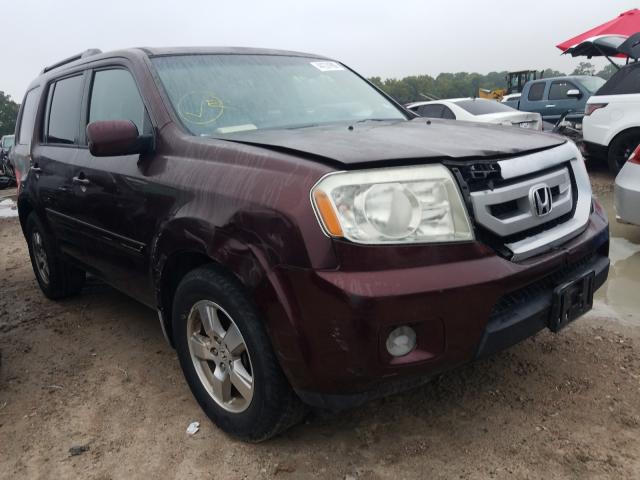 HONDA PILOT EX 2010 5fnyf3h42ab004113