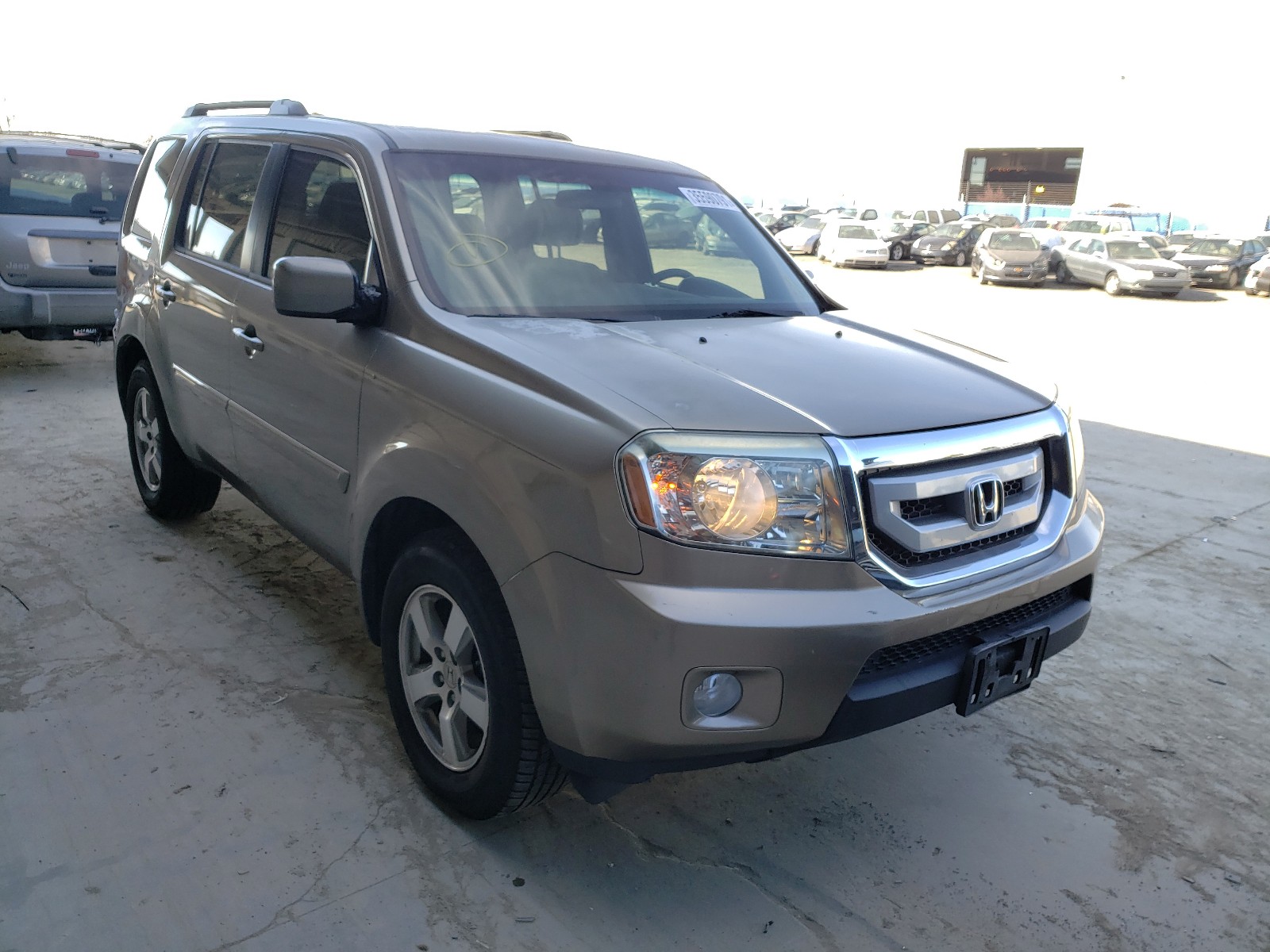 HONDA PILOT 2010 5fnyf3h42ab004290