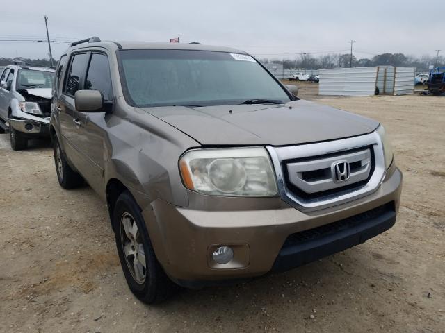 HONDA PILOT EX 2010 5fnyf3h42ab016102