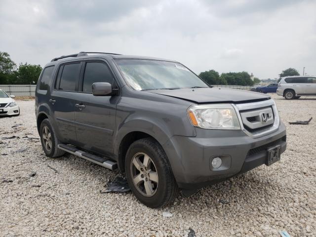 HONDA PILOT EX 2011 5fnyf3h42bb022368