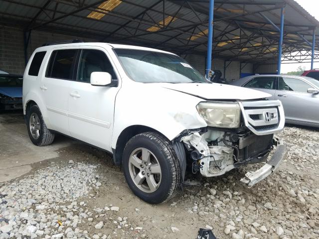 HONDA PILOT EX 2011 5fnyf3h43bb017308