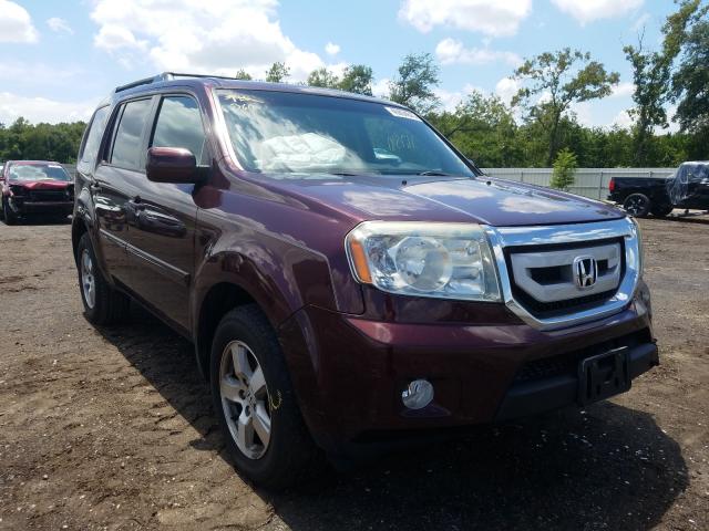 HONDA PILOT EX 2011 5fnyf3h43bb025313