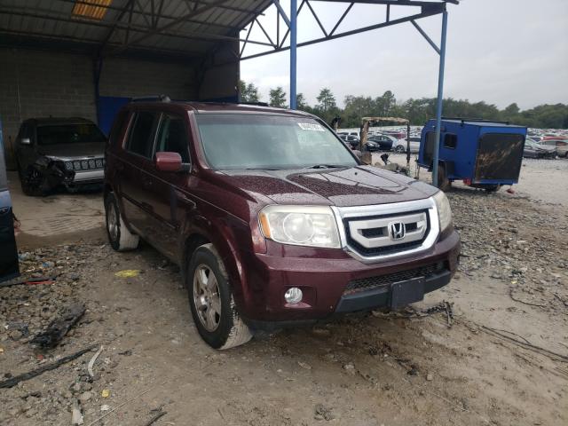 HONDA PILOT EX 2011 5fnyf3h43bb026137