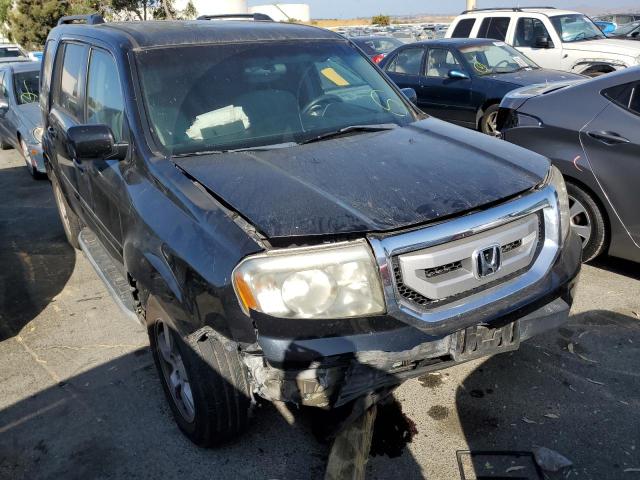 HONDA PILOT EX 2011 5fnyf3h43bb026641