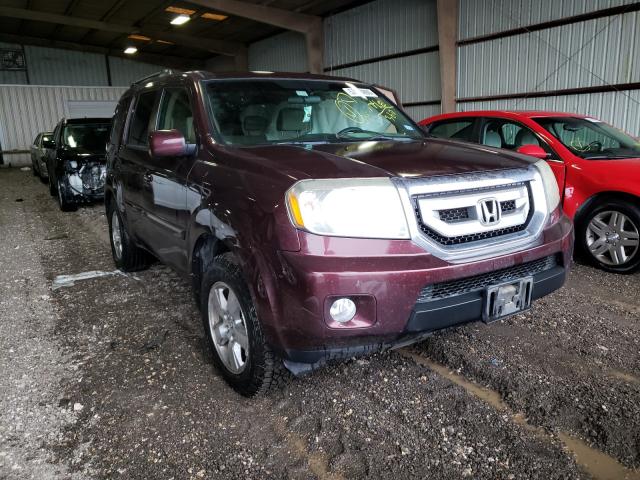 HONDA PILOT EX 2011 5fnyf3h43bb033413