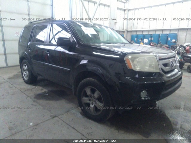 HONDA PILOT 2011 5fnyf3h43bb035002