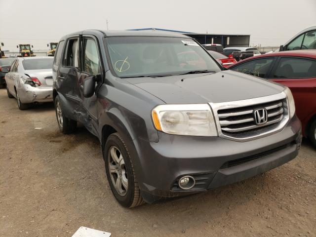 HONDA PILOT EX 2013 5fnyf3h43db029185