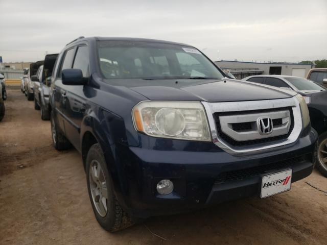 HONDA PILOT EX 2011 5fnyf3h44bb037504