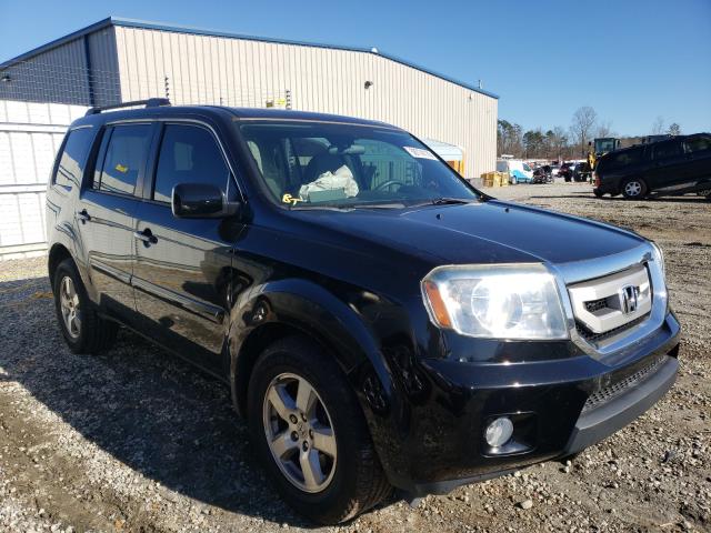 HONDA PILOT EX 2011 5fnyf3h45bb026608