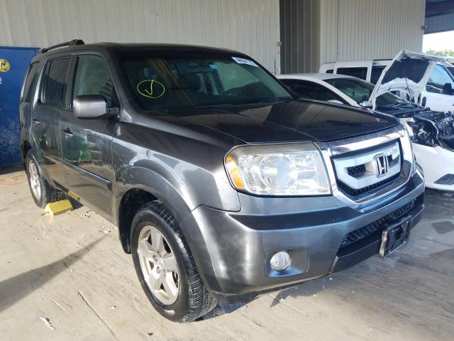 HONDA PILOT EX 2011 5fnyf3h45bb039357