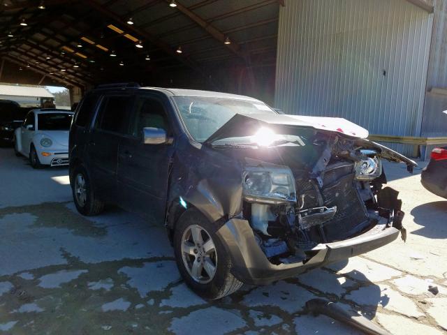 HONDA PILOT EX 2011 5fnyf3h45bb051542