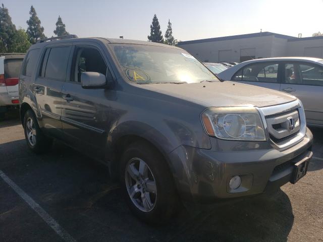 HONDA PILOT EX 2010 5fnyf3h46ab005619