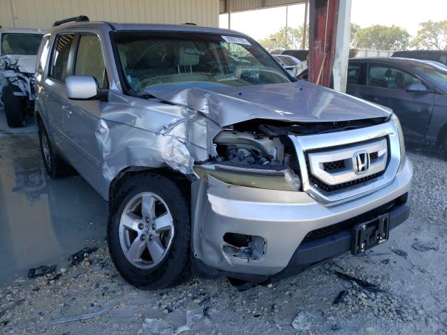 HONDA PILOT EX 2010 5fnyf3h46ab006141