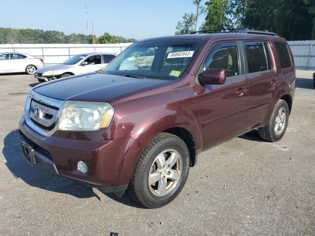 HONDA PILOT EX 2010 5fnyf3h46ab021450