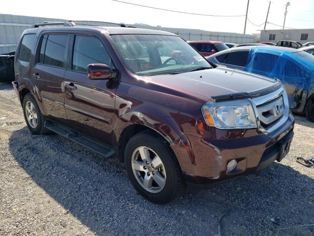 HONDA PILOT EX 2010 5fnyf3h46ab022775