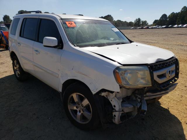 HONDA PILOT EX 2011 5fnyf3h46bb003449