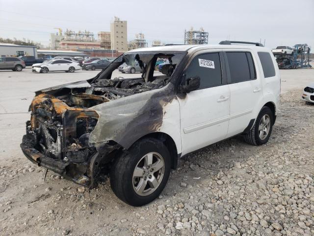 HONDA PILOT 2011 5fnyf3h46bb037634