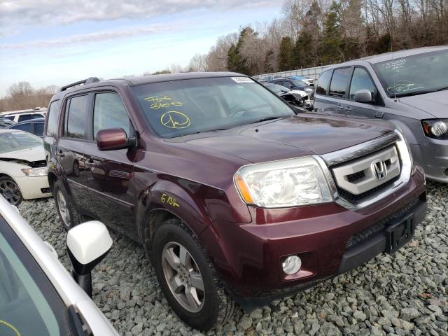 HONDA PILOT EX 2010 5fnyf3h47ab010568