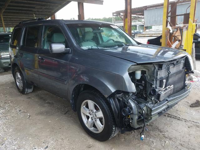 HONDA PILOT EX 2011 5fnyf3h48bb017806