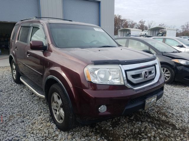 HONDA PILOT EX 2011 5fnyf3h48bb041958