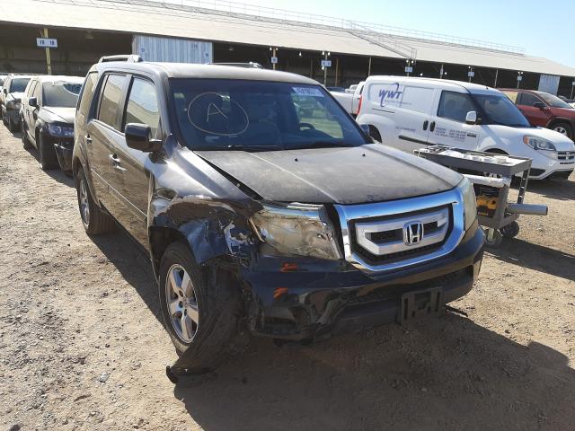 HONDA PILOT EX 2011 5fnyf3h49bb023646