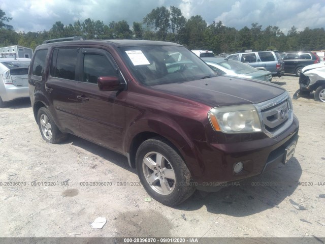 HONDA PILOT 2010 5fnyf3h4xab017529