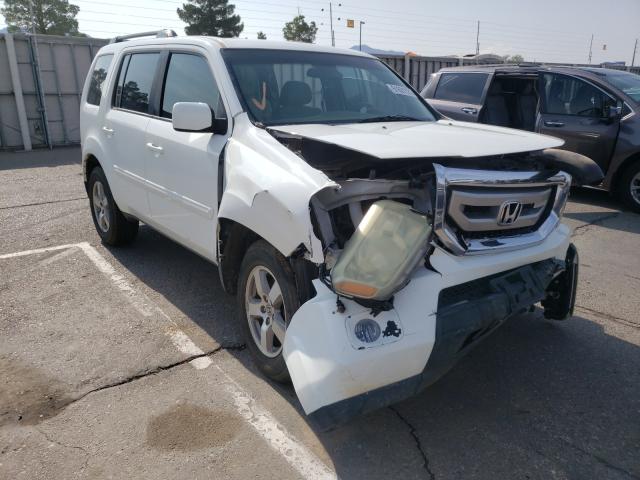 HONDA PILOT EX 2010 5fnyf3h4xab019586