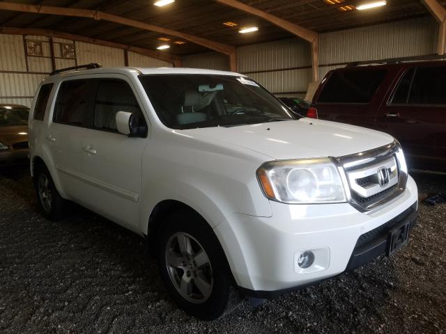 HONDA PILOT EXL 2010 5fnyf3h50ab018102