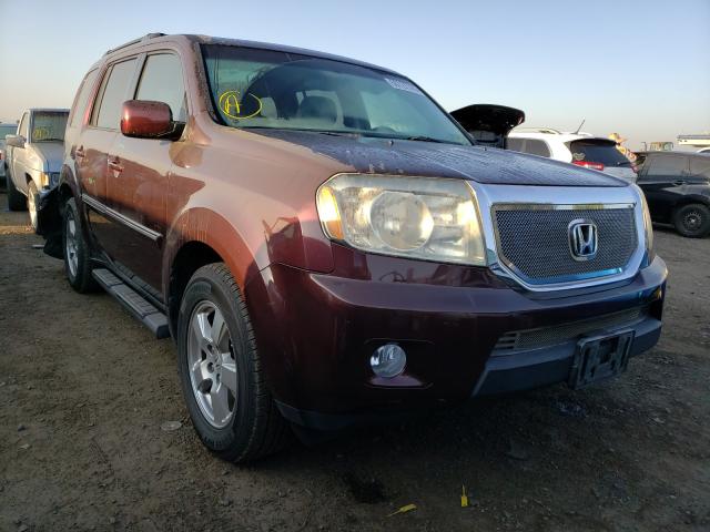 HONDA PILOT EXL 2011 5fnyf3h50bb010552