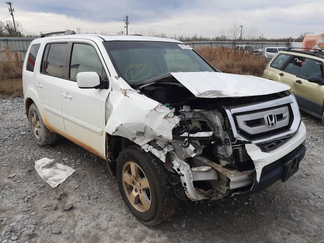 HONDA PILOT EXL 2011 5fnyf3h50bb038996