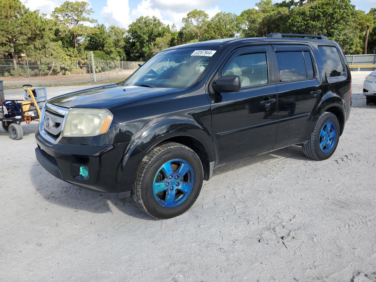 HONDA PILOT 2010 5fnyf3h51ab006766