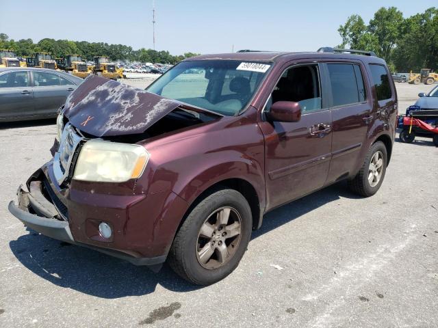 HONDA PILOT 2010 5fnyf3h51ab011935