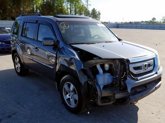 HONDA PILOT EXL 2010 5fnyf3h51ab015919