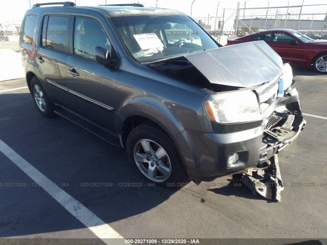 HONDA PILOT 2010 5fnyf3h51ab016343